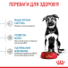 Royal Canin Maxi Puppy - сухий корм для цуценят великих порід (від 2 до 15 місяців), фото 6