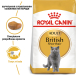 Royal Canin British Shorthair Adult - сухий корм для дорослих котів породи британська короткошерста (від 12 місяців), фото 6