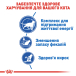 Royal Canin Indoor 7 + - сухий корм для котів, які проживають в приміщенні (від 7 до 12 років), фото 8
