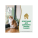 Nature's Miracle Urine Destroyer Cat - знищувач плям і запахів сечі котів, фото 5