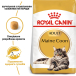 Royal Canin Maine Coon Adult - сухий корм для дорослих котів породи мейн-кун (від 15 місяців), фото 8