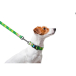 Collar WAUDOG Nylon "Авокадо" Повідець для собак, нейлоновий, фото 4