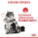 Royal Canin Hair and Skin Care - сухий корм для котів, підтримка здоров'я шкіри і блиску шерсті (від 12 місяців до 7 років), фото 9